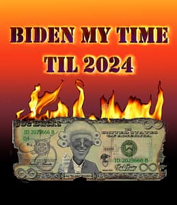 Biden My Time